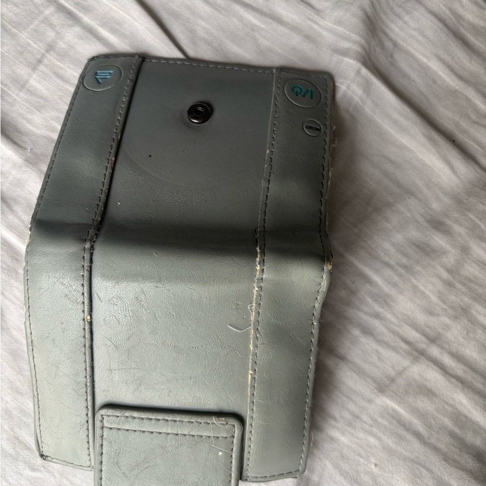 Official song, PlayStation wallet